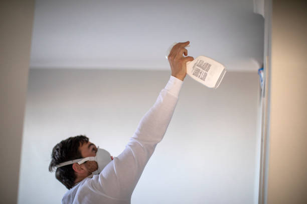 Best Preventive Mold Services in Concord, AL