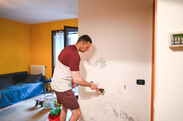 Best Post-Flood Mold Remediation in Concord, AL